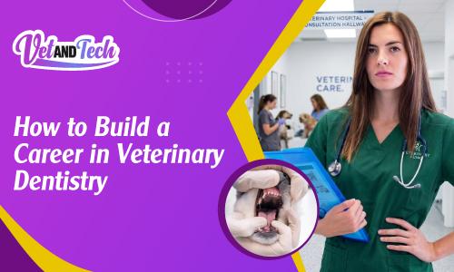 How to Build a Career in Veterinary Dentistry