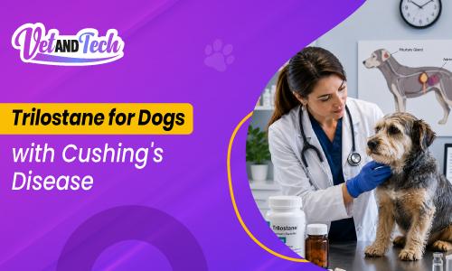 Trilostane for Dogs with Cushing's Disease: Dosing, Monitoring, and Best Practices