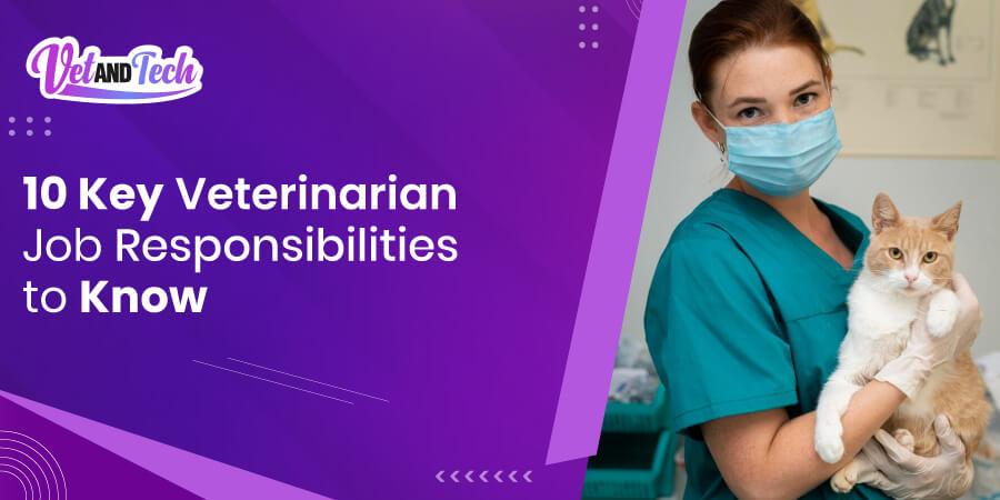 10 Key Veterinarian Job Responsibilities to Know