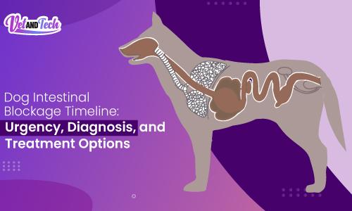 Dog Intestinal Blockage Timeline: Urgency, Diagnosis, and Treatment Options