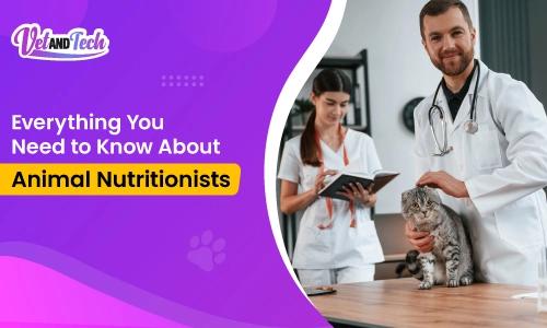 Everything You Need to Know About Animal Nutritionists