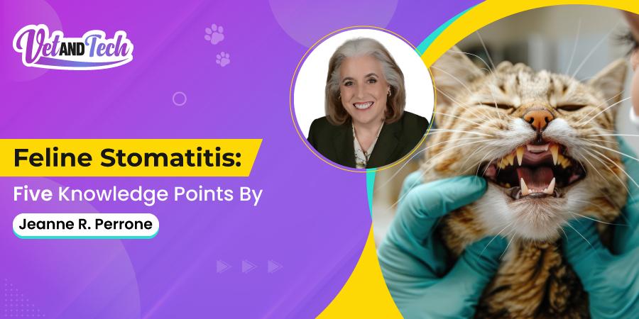 Feline Stomatitis: Five Knowledge Points