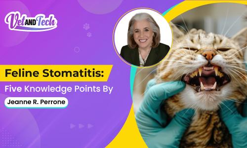 Feline Stomatitis: Five Knowledge Points