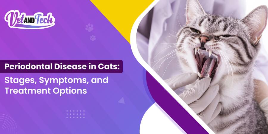 Periodontal Disease in Cats: Stages, Symptoms, and Treatment Options