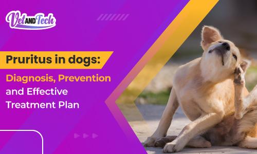 Pruritus in dogs: Diagnosis, Prevention and Effective Treatment Plan