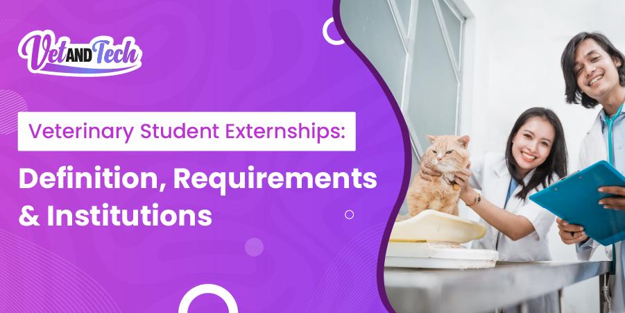 Veterinary Student Externships: Definition, Requirements & Institutions