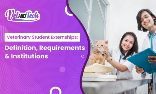 Veterinary Student Externships: Definition, Requirements & Institutions