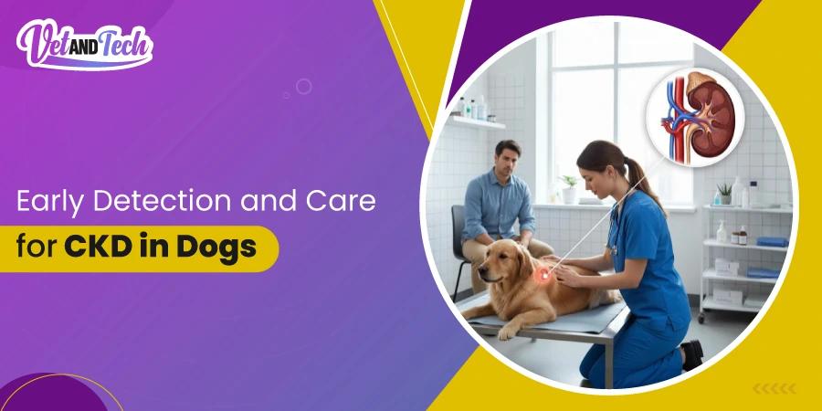 Early Detection and Care for Chronic Kidney Disease in Dogs