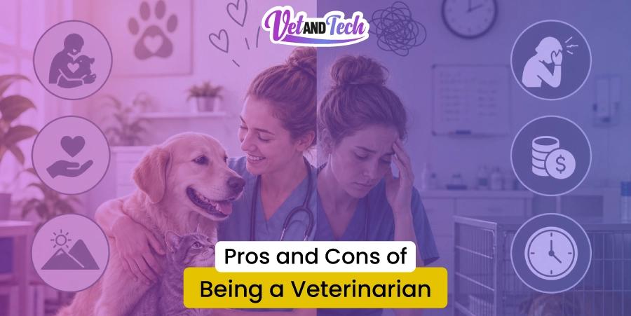Pros and Cons of Being a Veterinarian: Career, Salary, Growth & Real Challenges