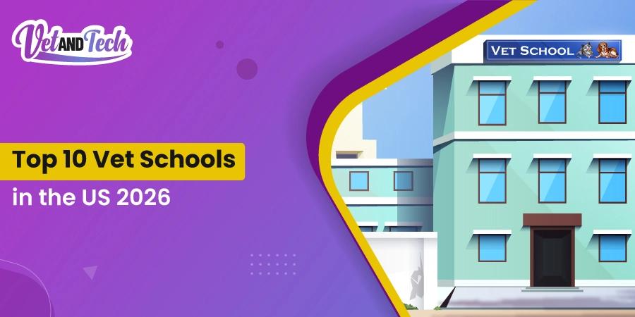 Top 10 Vet Schools in the US (2026 Rankings & Admission Guide)