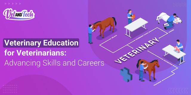 post secondary education for veterinarians