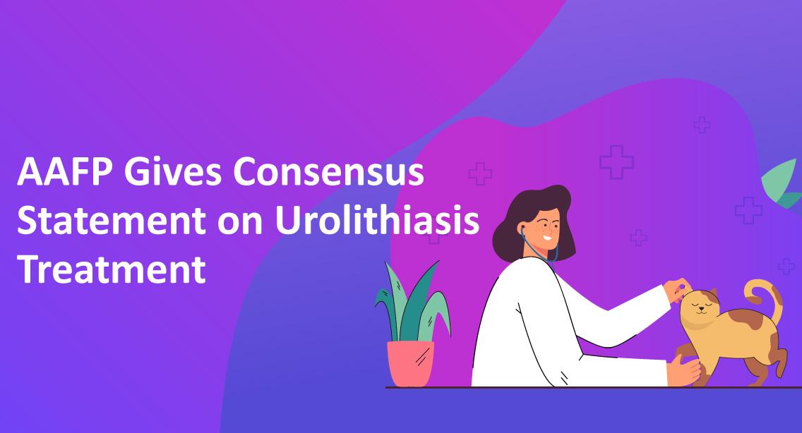 AAFP Gives Consensus Statement on Urolithiasis Treatment