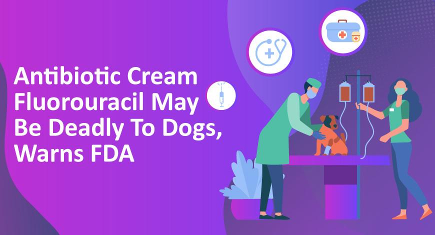 Antibiotic Cream Fluorouracil May Be Deadly To Dogs, Warns FDA