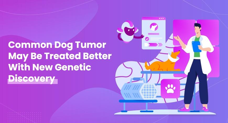 Common Dog Tumor May Be Treated Better With New Genetic Discovery