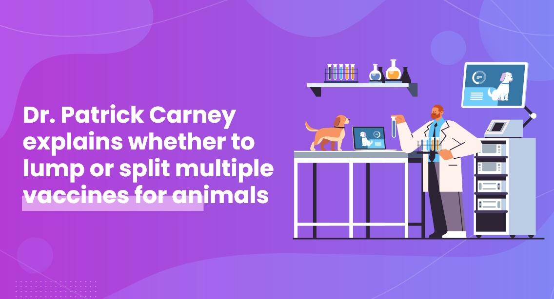 Dr. Patrick Carney explains whether to lump or split multiple vaccines for animals