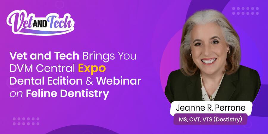 Vet and Tech Brings You DVM Central Expo - Dental Edition & Webinar on Feline Dentistry