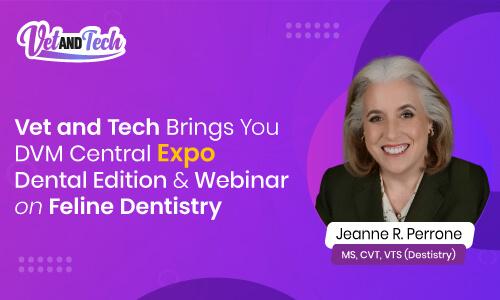 Vet and Tech Brings You DVM Central Expo - Dental Edition & Webinar on Feline Dentistry