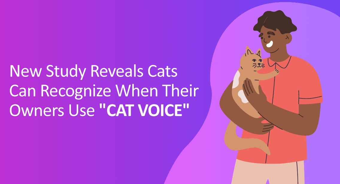 New Study Reveals Cats Can Recognize When Their Owners Use "Cat Voice"