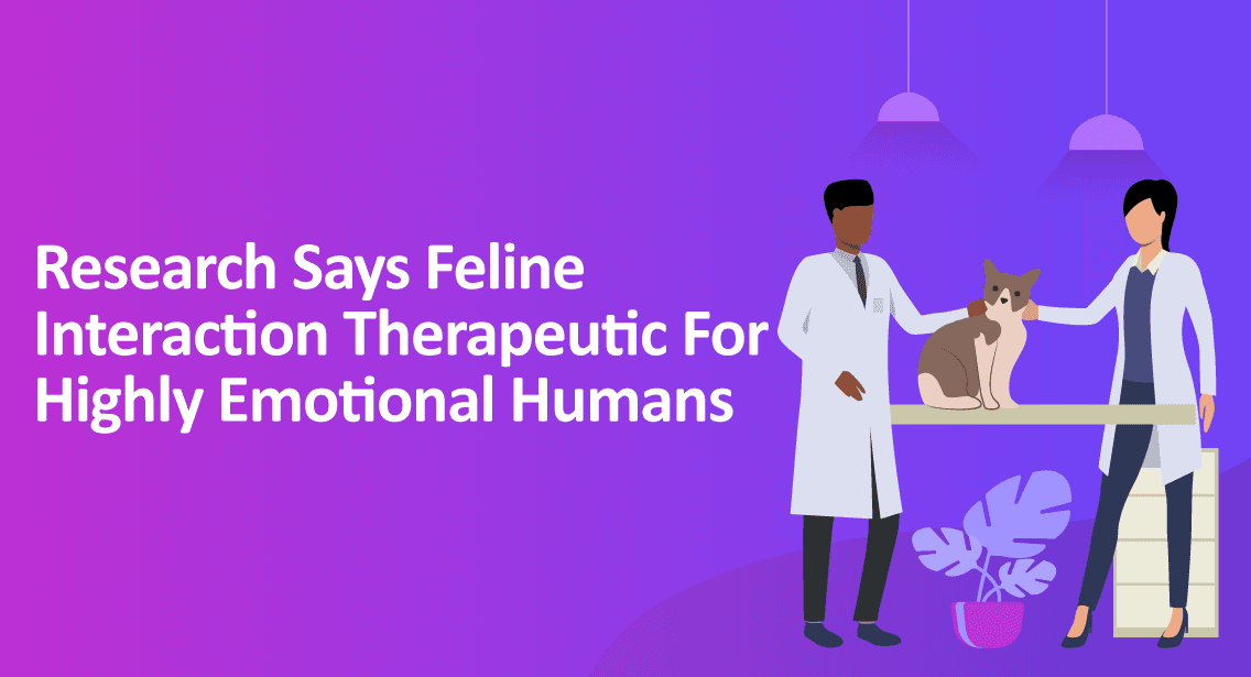 Research Says Feline Interaction Therapeutic for Highly Emotional Humans