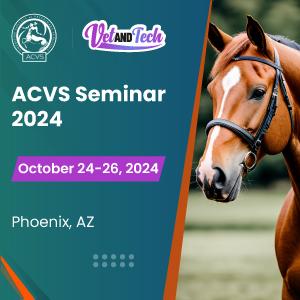 ACVS Seminar 2024
