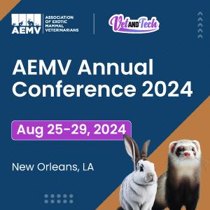 AEMV Annual Conference 2024