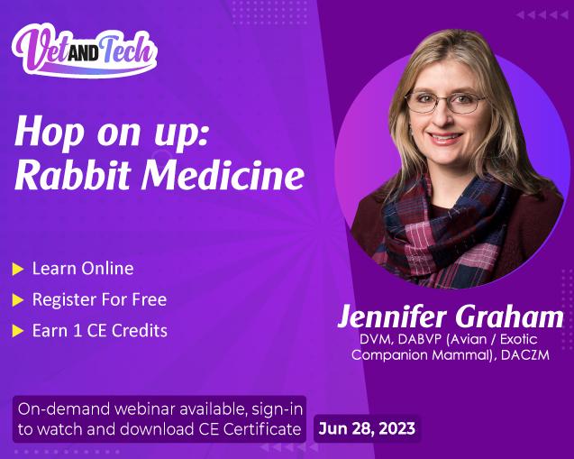 Hop on up: Rabbit Medicine