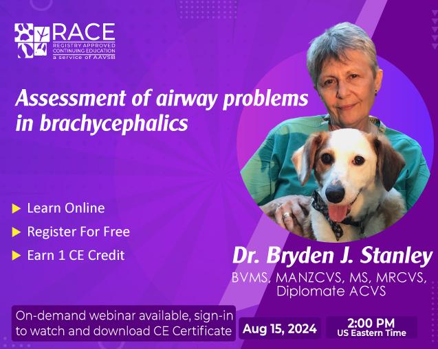 Assessment of Airway Problems in Brachycephalics