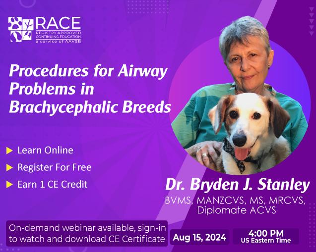 Procedures for Airway Problems in Brachycephalic Breeds