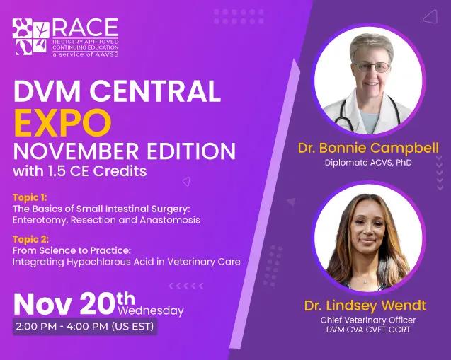 DVM Central Expo: November Edition with 1.5 CE Credits