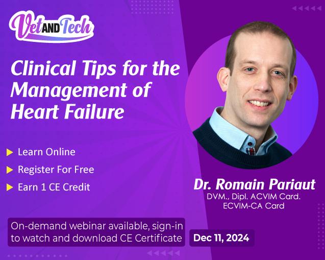 Clinical Tips for the Management of Heart Failure