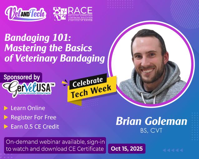 Bandaging 101: Mastering the Basics of Veterinary Bandaging