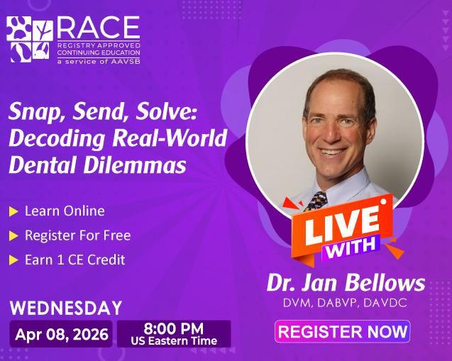 Snap, Send, Solve: Decoding Real-World Dental Dilemmas