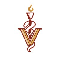 Veterinary Technician - Surgery & Anesthesia