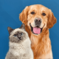 Veterinary Technician