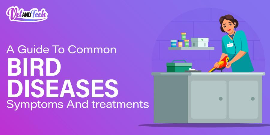 A Guide To Common Bird Diseases–Symptoms And Treatments