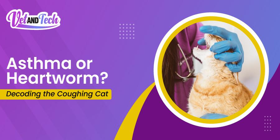 Why Is My Cat Coughing? A Vet’s Guide to Feline Asthma, Heartworm, and Airway Disease
