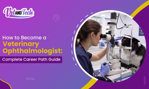 How to Become a Veterinary Ophthalmologist: Complete Career Path Guide