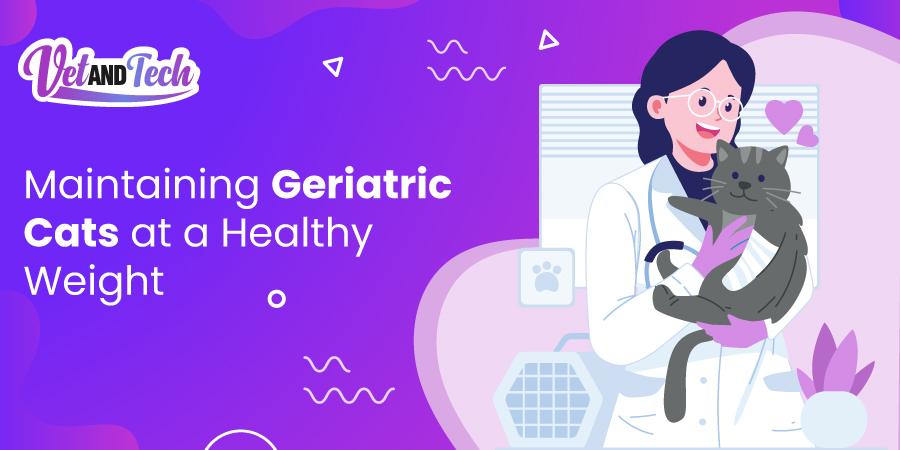 Maintaining Geriatric Cats at a Healthy Weight