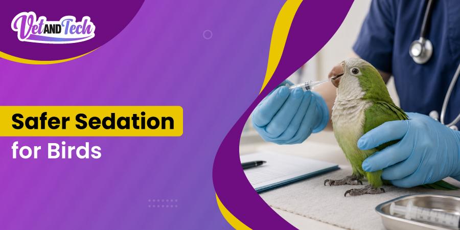 Sedation in Birds: When to Choose It Over Anesthesia