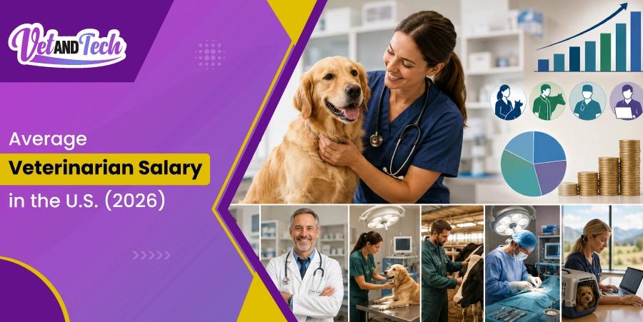 Average Veterinarian Salary in the U.S. (2026): State, Role & Experience Breakdown