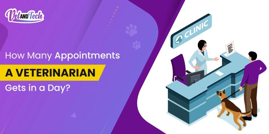 How Many Appointments a Veterinarian Gets in a Day?