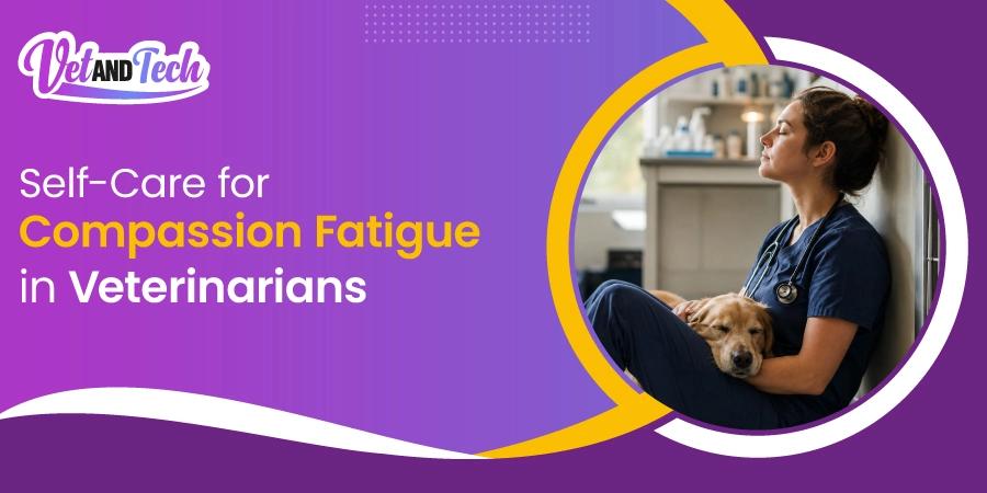 Self-Care for Compassion Fatigue: Practical Recovery Strategies for Veterinarians