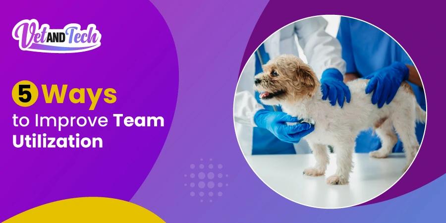 Veterinary Practice Management: 5 Ways to Improve Team Utilization