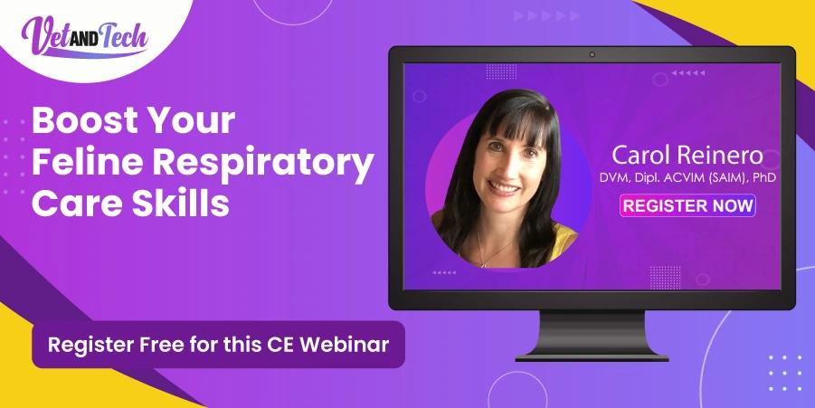 Join A RACE-Approved Veterinary Webinar on Feline Airway Disease