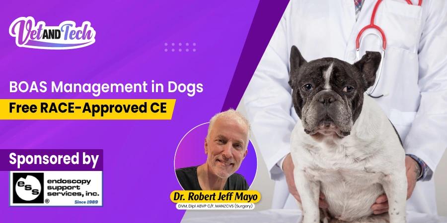 Treating BOAS in Dogs: Free CE Webinar for General Practice Vets