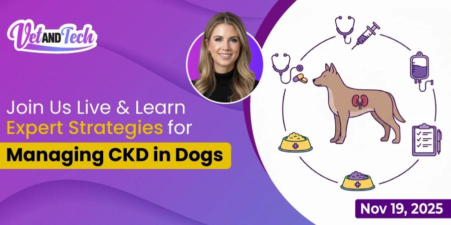 Are We Doing Enough for Dogs with CKD? Find Out in This Webinar