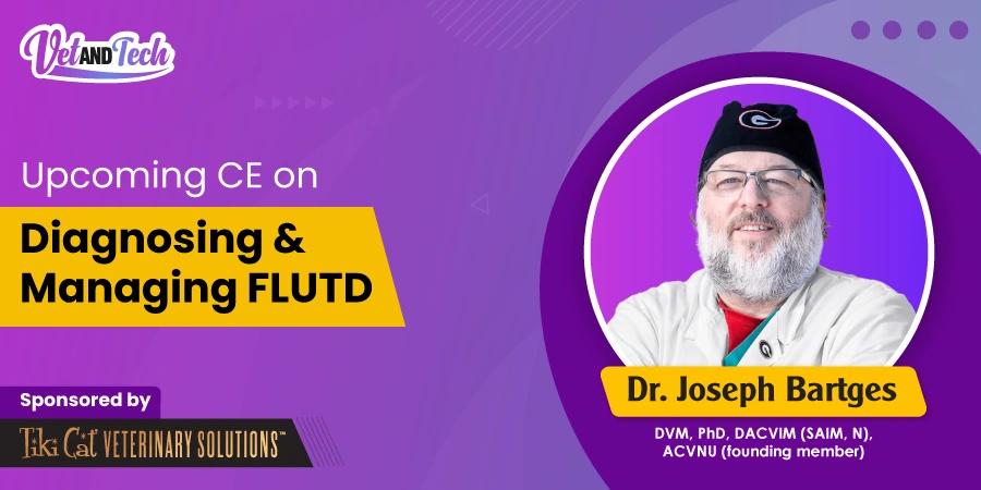 Veterinary CE Webinar: Managing FLUTD in Clinical Practice