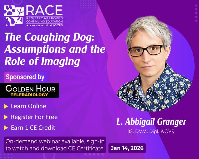 The Coughing Dog: Assumptions and the Role of Imaging