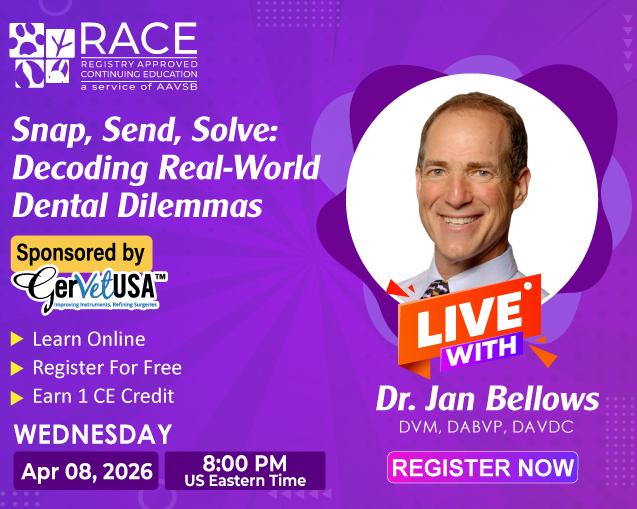 Snap, Send, Solve: Decoding Real-World Dental Dilemmas