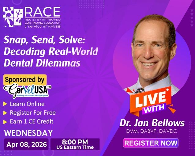 Snap, Send, Solve: Decoding Real-World Dental Dilemmas